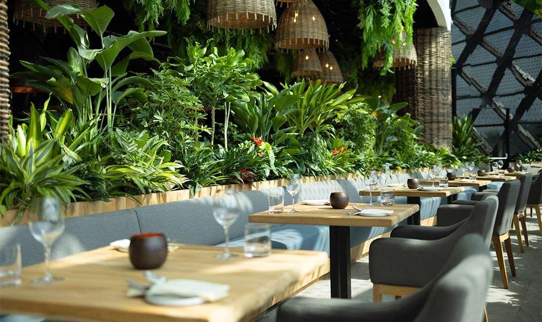 Dusit Thani Laguna سنغافورة المظهر الخارجي الصورة Restaurant interior